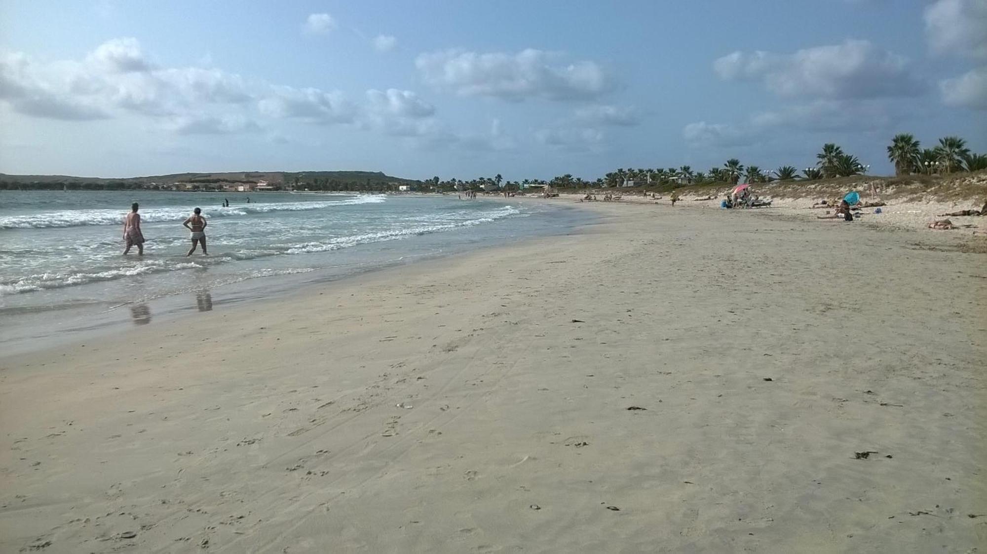 Sardinia Eco Vegan House Bed & Breakfast Zeddiani Exterior photo